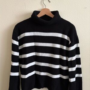 The Reset Black and White Striped Turtleneck Sweater